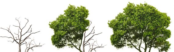 A Time to Revaluate & Rejuvenate Your Business ? Find Out How Much change is Required…