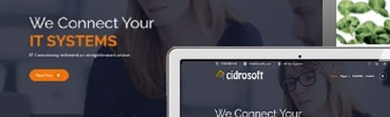 Cidrosoft – Making IT Systems Easy To Navigate For The End-User!