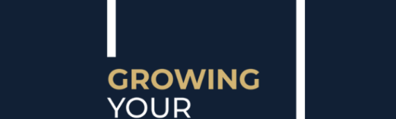 ‘Financial Management for Business Owners’ (FiMBO)